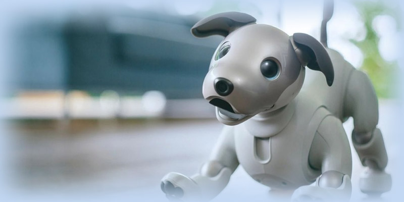 Компания Sony представила в продаже новую модель легендарной собаки-робота Aibo